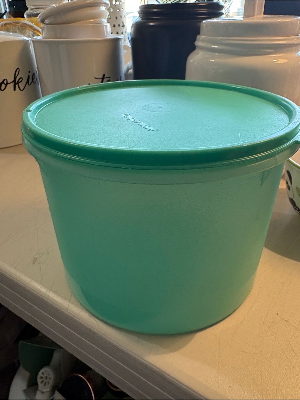 Vintage Tupperware Aqua Round Food Storage Container 5”x7”